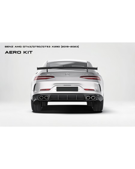 Mercedes Benz  AMG GT GT43 GT50 GT53 X290 (2019-2023)