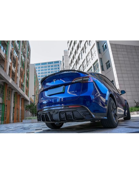 Tesla Y Full Carbon Kit