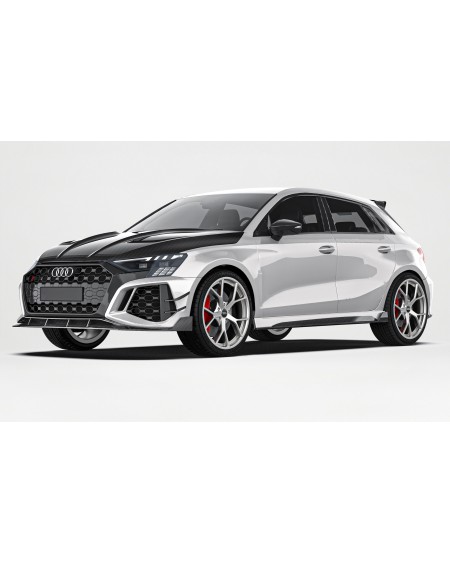 Audi RS3 8Y Carbon Full Body Kit